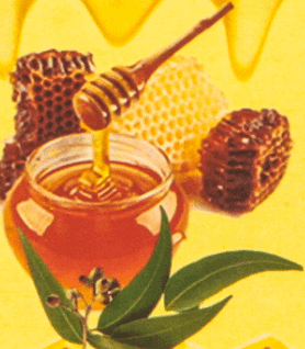 Noor_wa_najah-3.png