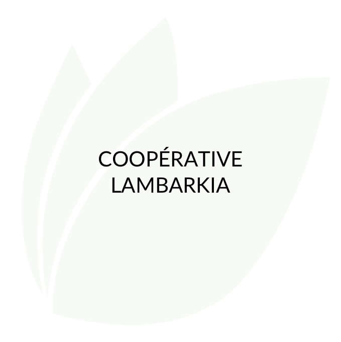 Coope_rative_Lambarki-1.png