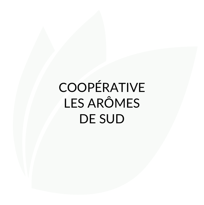 Coope_rative_Les_Aro_m-1.png